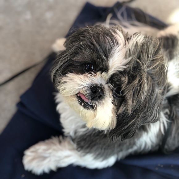 frillymilly